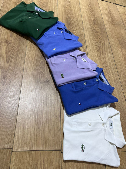 Polo Tommy Ralph Lacoste 40 Kg